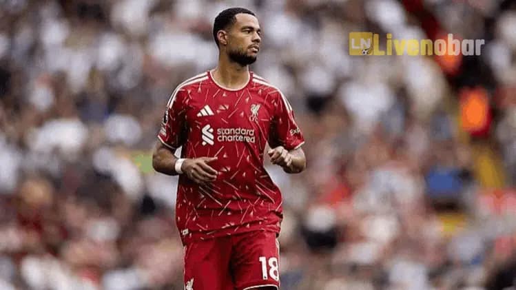 Menatap Lembaran Baru: Cody Gakpo Pilih Nikmati Permainan Usai Lalui Musim Panas Penuh Tekanan